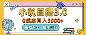 小说自撸3.0,解放双手,不浪费时间,适合大众-王总副业网