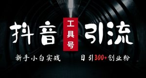 2024最新抖音工具号引流玩法,高效日引300+创业粉,当天变现5k,小白也可成为实战高手-王总副业网