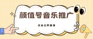 全网首发美女号音乐推广,日入500+-王总副业网