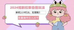 2024短剧拉新自撸玩法,单机1小时18无限制,批量操作日入过k-王总副业网