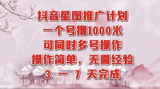 抖音星图推广项目，3-7天就能完成，每单1k，可多号一起做-王总副业网