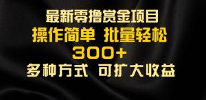 2024最新零撸赏金项目,无需养机,直接上手操作 ,单机收益30+,适合批量放大-王总副业网