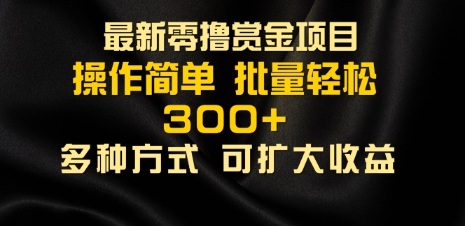 2024最新零撸赏金项目，无需养机，直接上手操作 ，单机收益30+，适合批量放大-王总副业网