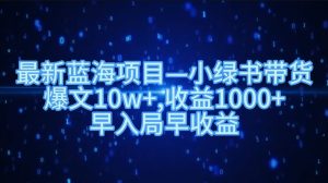 最新蓝海项目小绿书带货,爆文10w+,收益1000+,早入局早获益-王总副业网