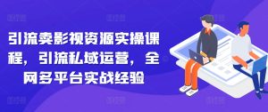 引流卖影视资源实操课程,引流私域运营,全网多平台实战经验-王总副业网