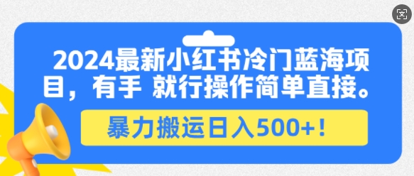 2024最新小红书冷门蓝海项目，有手就行操作简单直接，暴力搬运日入500+-王总副业网