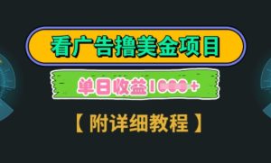 海外看广告撸美金项目,一次3分钟到账2.5美元,注册拉新都有收益,多号操作,日入1000+-王总副业网