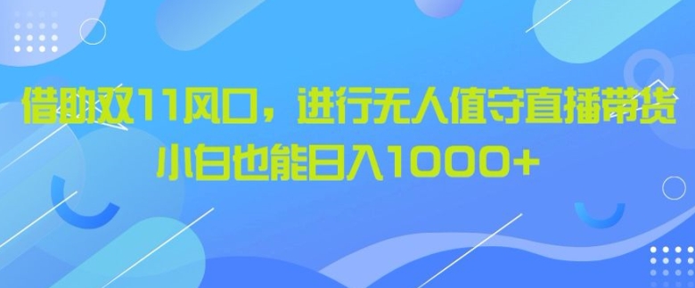 借助双11风口，进行无人值守直播带货，小白也能日入1k-王总副业网