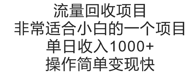 流量回收项目，非常适合小白的一个项目单日收入多张，操作简单变现快-王总副业网