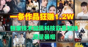 一条作品收益1.2w,独家技术加黑科技双重加持,流量暴增-王总副业网