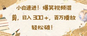 小白速进,爆笑视频混剪,日入3张,百万播放轻松破-王总副业网