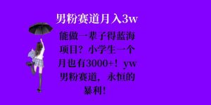 能做一辈子的蓝海项目?小学生一个月也有3000+,yw男粉赛道,永恒的暴利-王总副业网
