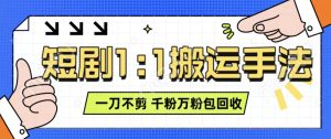 抖音短剧最新玩法,一刀不剪也能轻松过原创,一个作品3分钟,单账号收益3张,可矩阵操作-王总副业网