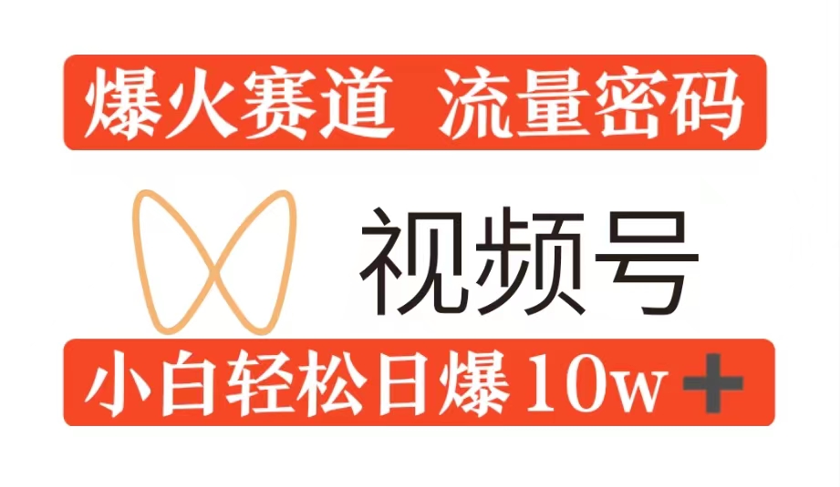 0粉在视频号爆火赛道流量密码，模式全方位，小白轻松日爆10w+流量-王总副业网