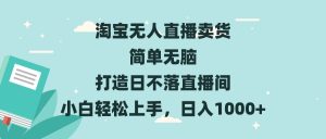 淘宝无人直播卖货 简单无脑 打造日不落直播间 小白轻松上手,日入1000+-王总副业网