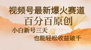 视频号最新爆火赛道,中老年粉深信不疑,百分百原创,新号三天收益轻松破千-王总副业网