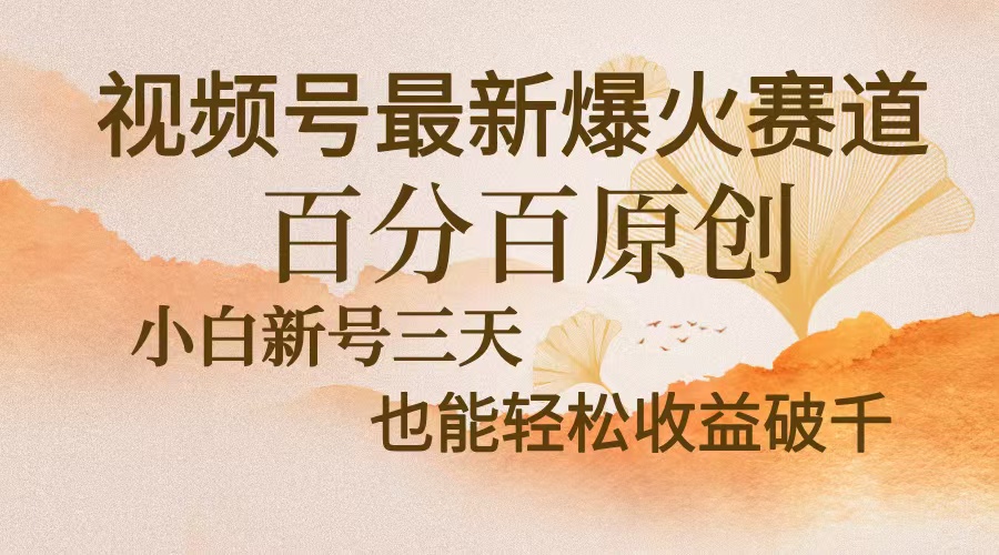 视频号最新爆火赛道，中老年粉深信不疑，百分百原创，新号三天收益轻松破千-王总副业网