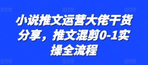 小说推文运营大佬干货分享,推文混剪0-1实操全流程-王总副业网