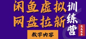 闲鱼虚拟网盘拉新训练营,两天快速人门,长久稳定被动收入,要在没有天花板的项目里赚钱-王总副业网