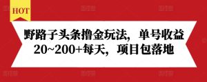 野路子头条撸金玩法,单号收益20~200+每天,项目包落地-王总副业网