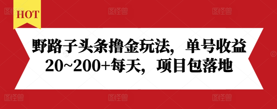 野路子头条撸金玩法，单号收益20~200+每天，项目包落地-王总副业网