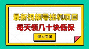 视频号挂机项目,每天几十块低保,懒人专属-王总副业网