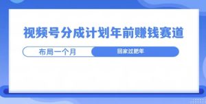 视频号分成计划年前挣钱赛道,布局一个月,回家过肥年-王总副业网