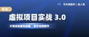 虚拟项目实战3.0,打造自动盈利店铺,可长期操作投入低,新手也能操作-王总副业网