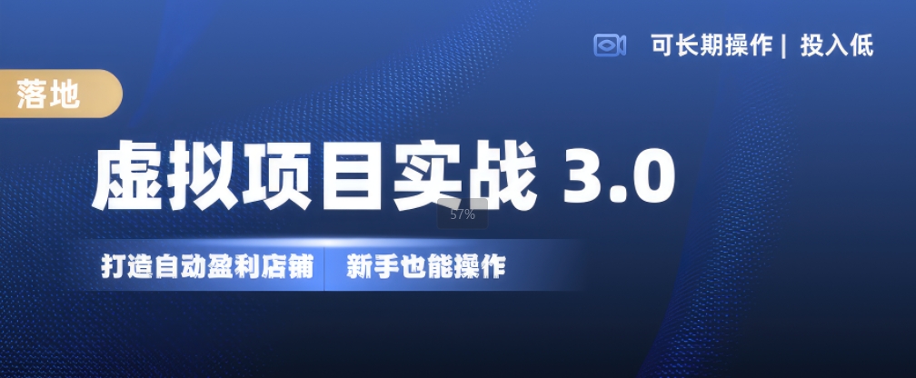 虚拟项目实战3.0，打造自动盈利店铺，可长期操作投入低，新手也能操作-王总副业网