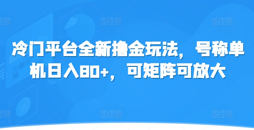 冷门平台全新撸金玩法，号称单机日入80+，可矩阵可放大-王总副业网