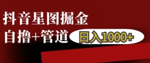 抖音星图掘金自撸,可以管道也可以自营,日入1k-王总副业网