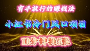 每天10分钟,小红书冷门风口项目开启,有手就行的搬运赚钱法,小白日入500 +-王总副业网