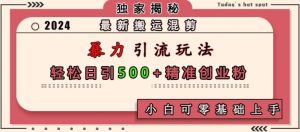 最新搬运混剪暴力引流玩法,轻松日引500+精准创业粉,小白可零基础上手-王总副业网