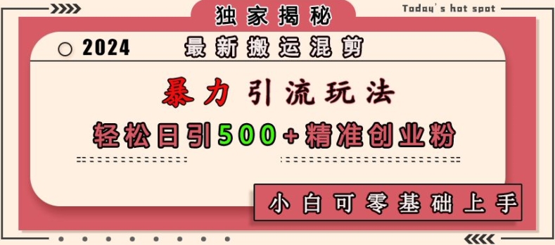 最新搬运混剪暴力引流玩法，轻松日引500+精准创业粉，小白可零基础上手-王总副业网