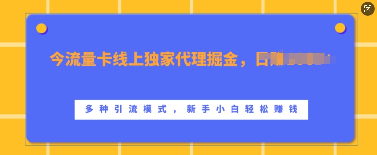 流量卡线上独家代理掘金，日入1k+ ，多种引流模式，新手小白轻松上手-王总副业网