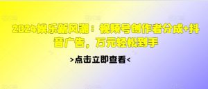 2024娱乐新风潮:视频号创作者分成+抖音广告,万元轻松到手-王总副业网