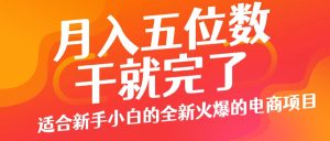 小红书咸鱼无脑操作,每单利润都是纯利润,小白即可上手,月入过W-王总副业网