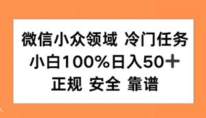 微信小众领域冷门特定任务,小白100%日入50+,正规安全靠谱-王总副业网