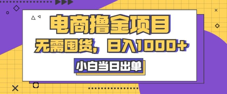 电商撸金项目，无需囤货，日入几张，小白当日出单，人性玩法，复购不断-王总副业网