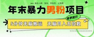 年末暴力男粉项目,5分钟无脑搬运,无脑月入五位数,举一反三,放大收益-王总副业网