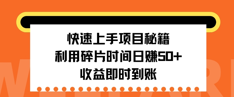 快速上手项目秘籍，利用碎片时间日入50+，收益即时到账-王总副业网