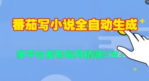 番茄写小说全自动生成,多平合发布每月过W-王总副业网
