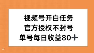 视频号开白任务,官方授权不封号,单号每天稳定收益80+-王总副业网
