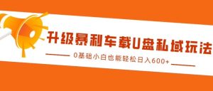 升级暴利车载U盘私域玩法,0基础小白也能轻松日入多张-王总副业网