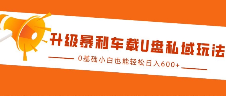 升级暴利车载U盘私域玩法，0基础小白也能轻松日入多张-王总副业网