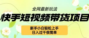 快手短视频带货项目最新玩法,新手小白轻松上手,日入过千很简单-王总副业网
