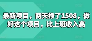 最新项目,两天挣了150,做好这个项目,比上班收入高-王总副业网