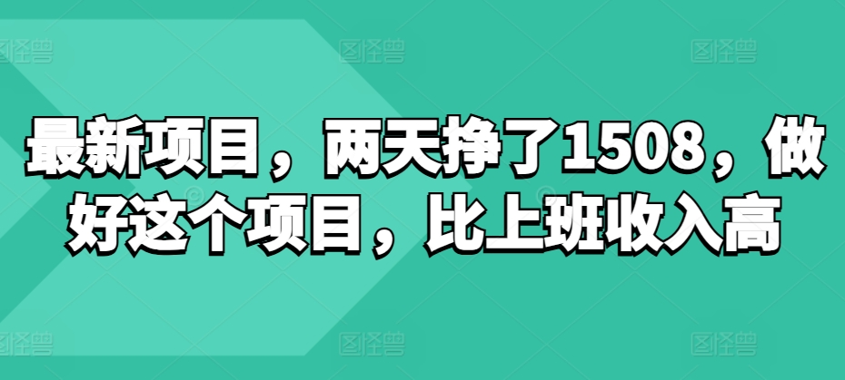 最新项目，两天挣了150，做好这个项目，比上班收入高-王总副业网