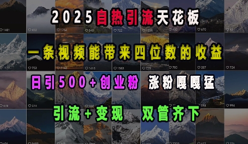 2025自热引流天花板，一条视频能带来四位数的收益，引流+变现双管齐下，日引500+创业粉，涨粉嘎嘎猛-王总副业网