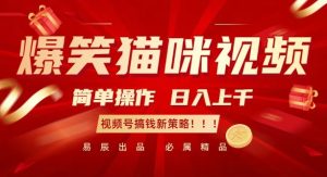 爆笑猫咪视频:简单操作,日入过K,视频号搞钱新策略-王总副业网